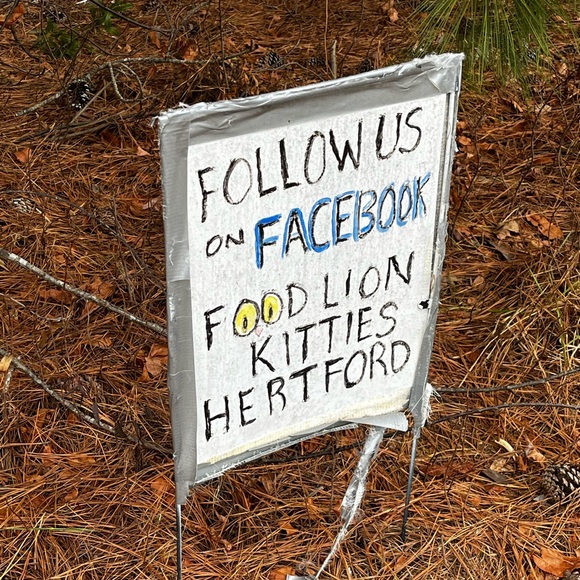 Meet your Posher, Lisa - Picture 14 of 17